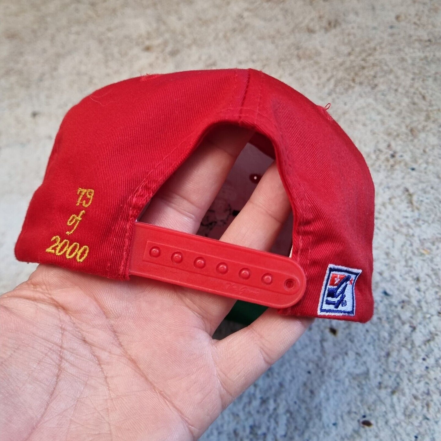 Vintage Rare The Game Chicago Bulls Snapback Cap Hat 79 of 2000